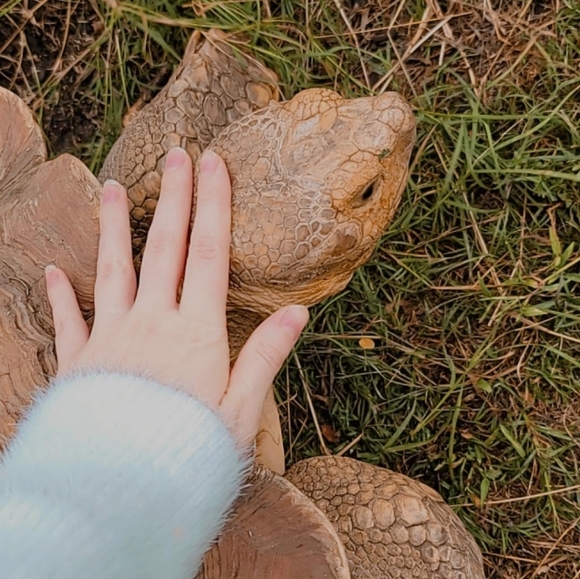 Welcome To My Closet π - Picture 5 of 5